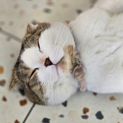 kiwikw_'s profile picture. fs