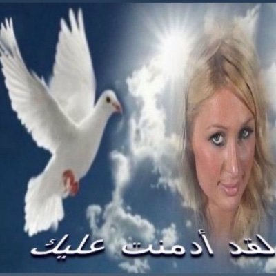 xaladbar's profile picture. i deserve to die in a castle