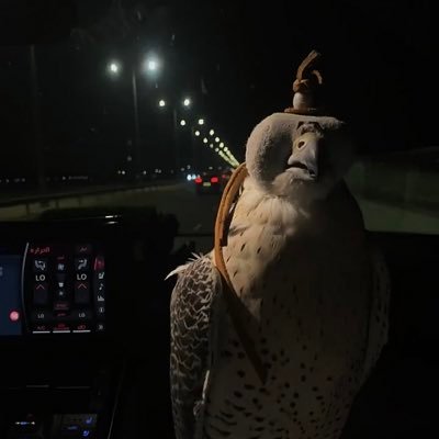 _bttvt's profile picture. 