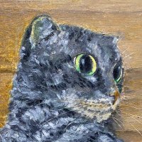 Yoshio with Nekko (@yoshio3298nekko) 's Twitter Profile