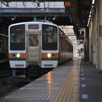 柊 (@ilex_hiragi) 's Twitter Profile