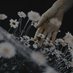 Under construction ๐จ ๐ท (@yourbelovedpoet) Twitter profile photo Under construction ๐จ ๐ท (@yourbelovedpoet) Twitter profile photo