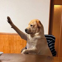 Akashaba Johnson (@jakashaba) 's Twitter Profile