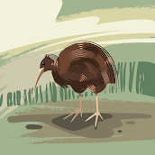 ipdkj65113525's profile picture. 