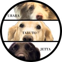 タルト🎀ジェッタ🧸うらら🍭/3brothers🐾 (@taruurajeetta) 's Twitter Profile