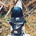๐ธ๐๐๐๐๐ฝ๐๐ ๐ฝโญ (@prettykhaleesii) Twitter profile photo ๐ธ๐๐๐๐๐ฝ๐๐ ๐ฝโญ (@prettykhaleesii) Twitter profile photo