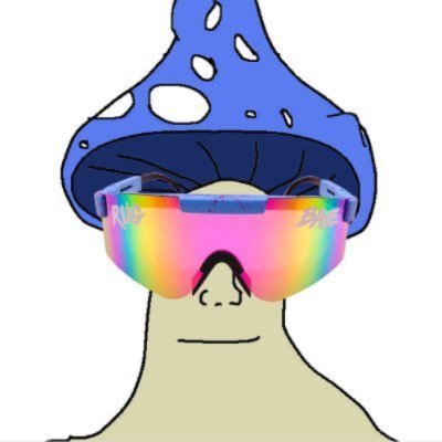 mister_shroom_2's profile picture. Safe Acceleration