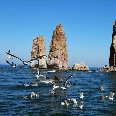 lihuiniu161882's profile picture. 