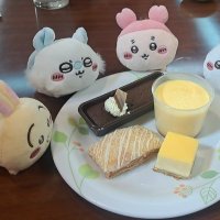 叶菜 (@yuxkuro) 's Twitter Profile Photo 叶菜 (@yuxkuro) 's Twitter Profile Photo