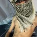 𝑵𝒆𝒓𝒐🕷️ ไลน์กลุ่ม150฿ (@falalim201) Twitter profile photo 𝑵𝒆𝒓𝒐🕷️ ไลน์กลุ่ม150฿ (@falalim201) Twitter profile photo