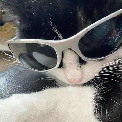 kez_nolixy's profile picture. ...