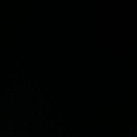 ezik köpek (@sweaty_dog2) 's Twitter Profile