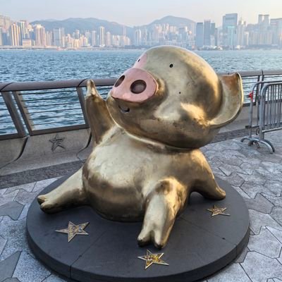 Henan_Alex's profile picture. 夫妻长期在澳洲。期待遇到优秀的你们，优秀的单。有兴趣➕企鹅号:3340476982