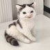 𝚗𝚎𝚔𝚘𝚋𝚘𝚘𝚖 (@itsmeneko__) Twitter profile photo 𝚗𝚎𝚔𝚘𝚋𝚘𝚘𝚖 (@itsmeneko__) Twitter profile photo
