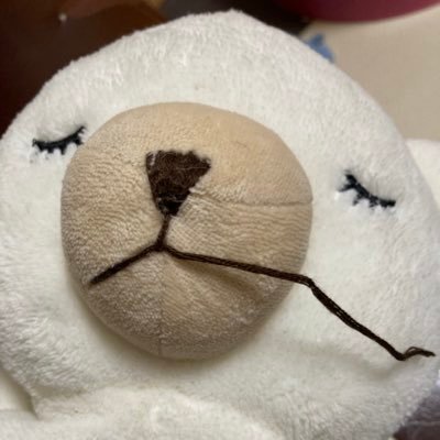 2児の母、お金の勉強中◎ / 投資初心者 / 積み立てNISA / ジュニアNISA / クロス取引 / どうにか旦那に投資をさせたい / 無言フォロー失礼します