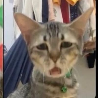 Roof0n's profile picture. 22 ☹️
girl kisser girl kissing