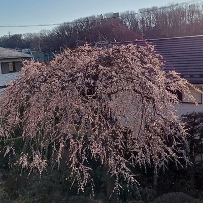 qbWvndOu0u2131's profile picture. 