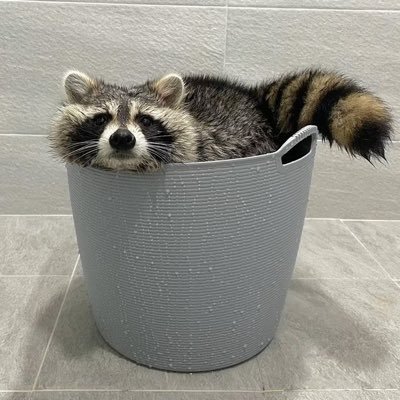 not_schu28's profile picture. heehee 🏳️‍⚧️