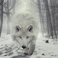 Leper (@nithiporn8920) Twitter profile photo