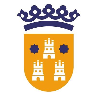 Ajuntament de Torrent Profile