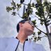 francisco ventura (@franciscovareli) Twitter profile photo francisco ventura (@franciscovareli) Twitter profile photo
