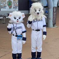 🦁カズレオ🦁 (@l32kdlbfbhpxbzh) 's Twitter Profile Photo 🦁カズレオ🦁 (@l32kdlbfbhpxbzh) 's Twitter Profile Photo