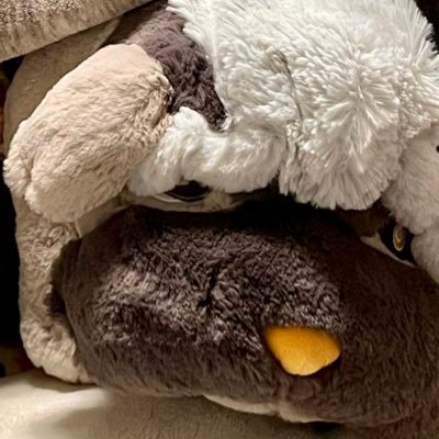 connieさんのプロフィール画像