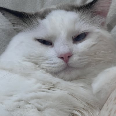 JaniceFlexispot's profile picture. 