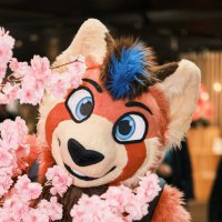 Pieberius (@pieberius) 's Twitter Profile