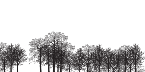 SpiveyJosh's profile picture. 