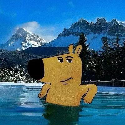 RodgersSta20005's profile picture. IT Guy