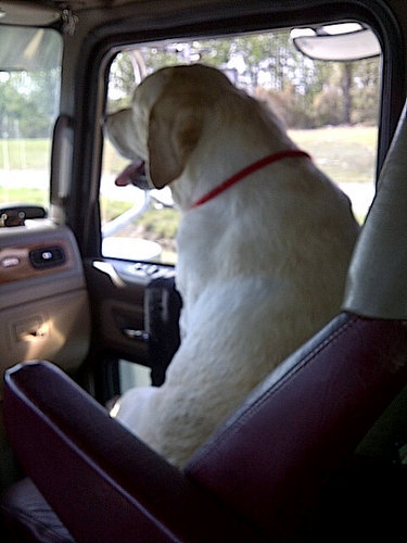 butlersmybaby's profile picture. 