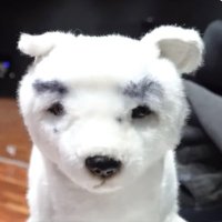 enh7love (@hypennuit) 's Twitter Profile