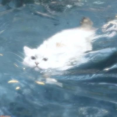 lovelypuppy99_'s profile picture. 色色少女｜switch｜infp-t🦋｜疼痛依恋者，喜欢穿刺和sp｜坐标安徽，江浙沪地带随机出现，如果你擅长绳缚或者很有趣我可以去找你玩｜