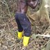 Joseph KIBANGE K (@josephkibange) Twitter profile photo Joseph KIBANGE K (@josephkibange) Twitter profile photo