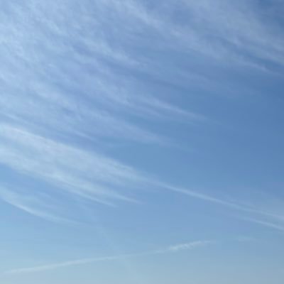 UufTMPFu3M41260's profile picture. 