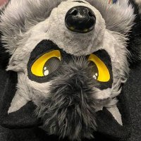 Bandit Raccoon 🇰🇿 🔜 EF 🇩🇪 (?) (@bndtrccn) 's Twitter Profile Photo Bandit Raccoon 🇰🇿 🔜 EF 🇩🇪 (?) (@bndtrccn) 's Twitter Profile Photo