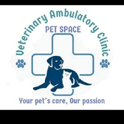 petspace44's profile picture. Pets' health is our passion, we do house visits and find you where you are!