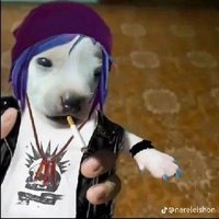 aki (@dozydoe_) Twitter profile photo