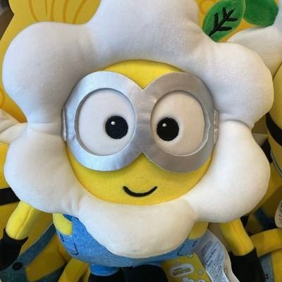 studieaiyii's profile picture. && sambat