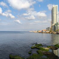 Paul Haddad (@_phs1159) 's Twitter Profile
