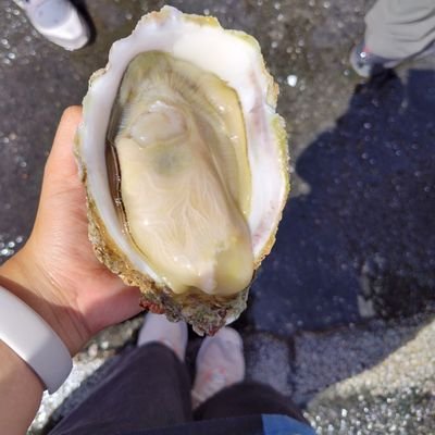 bqLqiJ3Yuc31070's profile picture. 06 mu サステナ　友達が欲しいです(切実)