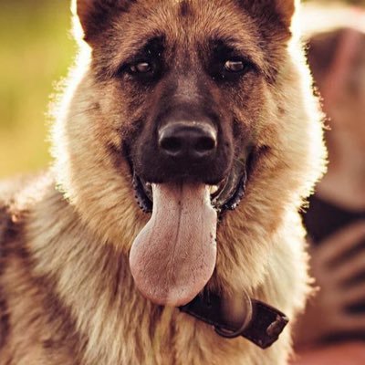 PaulTitherley's profile picture. 