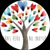 RarasNoInvisibles (@noinvisibles) 's Twitter Profile