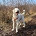 ElliPirelli🐾 (@siriwhosiriwho1) Twitter profile photo ElliPirelli🐾 (@siriwhosiriwho1) Twitter profile photo