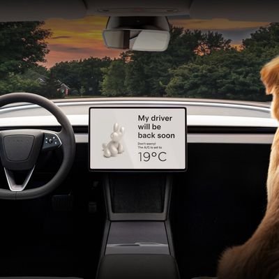 XMizubani's profile picture. 