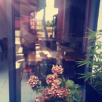 MaggioMarin's profile picture. Human Being