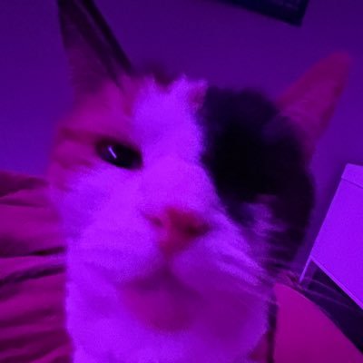 susuchat69's profile picture. My outrageous account~ 🔥/18/ Minors DNI, age in bio or I WILL block you !!☕️🫖