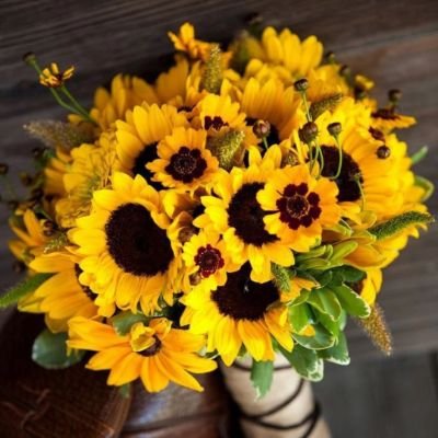 aung_khant73177's profile picture. 