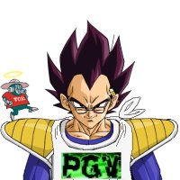 Prince GAS Vegeta (@princegasvegeta) 's Twitter Profile